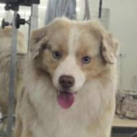 Portrait de Make My Day Sofas Style of Wolf Point