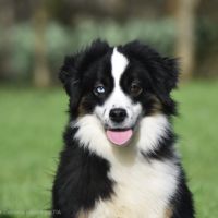 Portrait de Umia du Clos des Duchesses